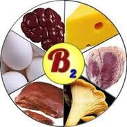 B2 B2 Vitamines pour le cerveau
